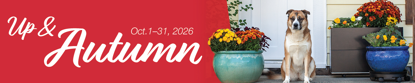Up & Autumn Promotion: October 1-31, 2026